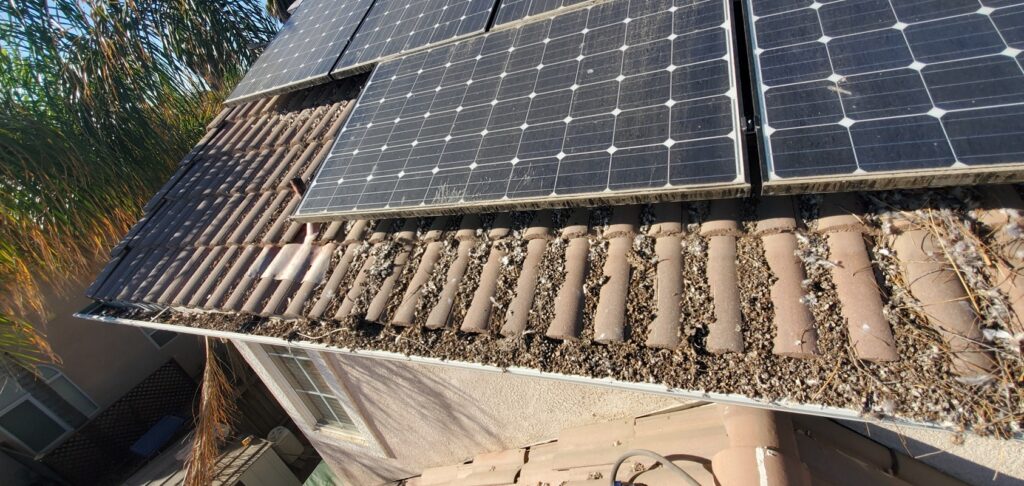 gutters dirty bird droppings dirty solar panels