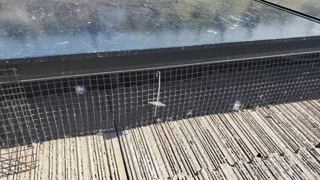 bird mesh install failing